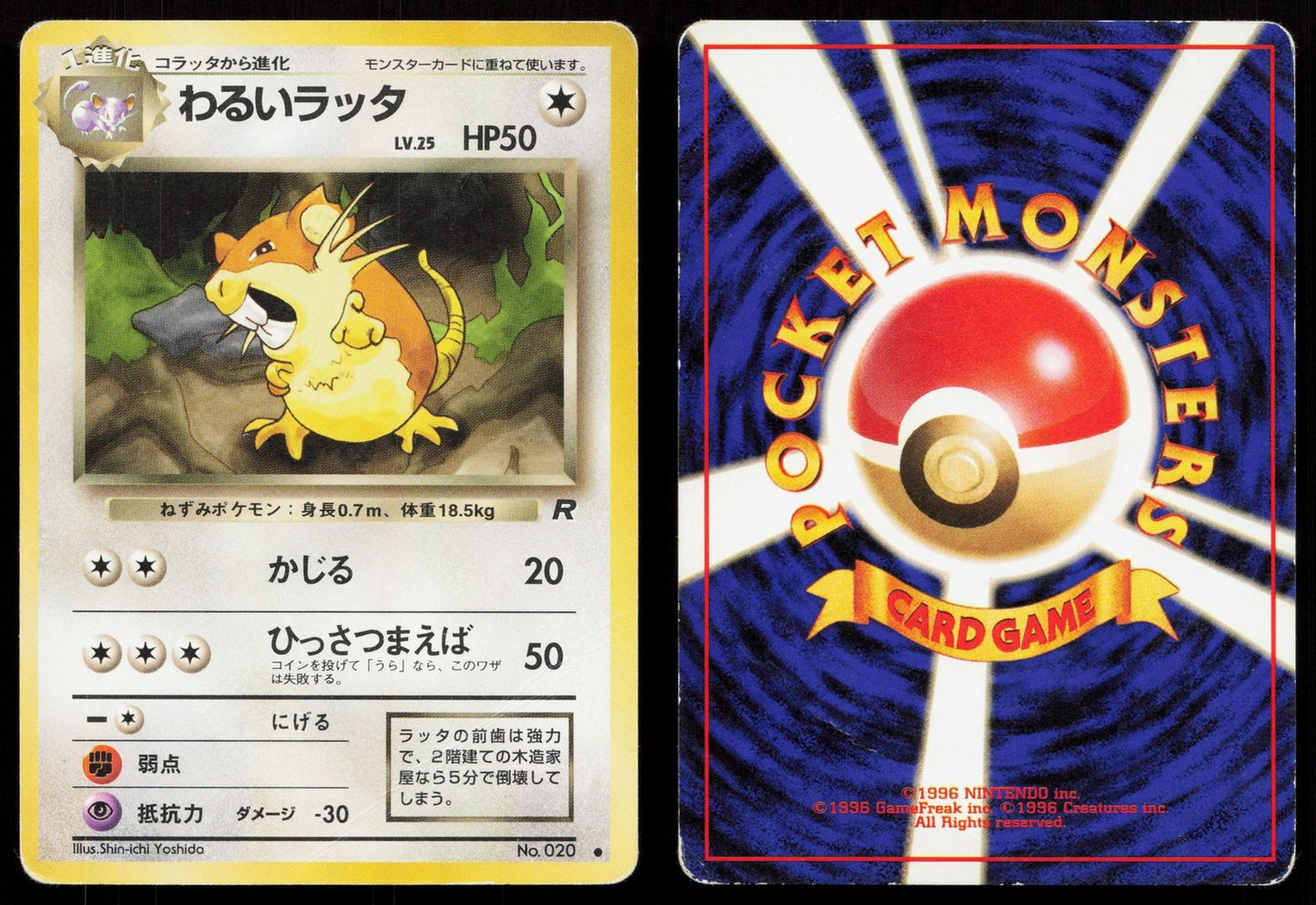 Dark Raticate No. 020 Team Rocket Japanese HP