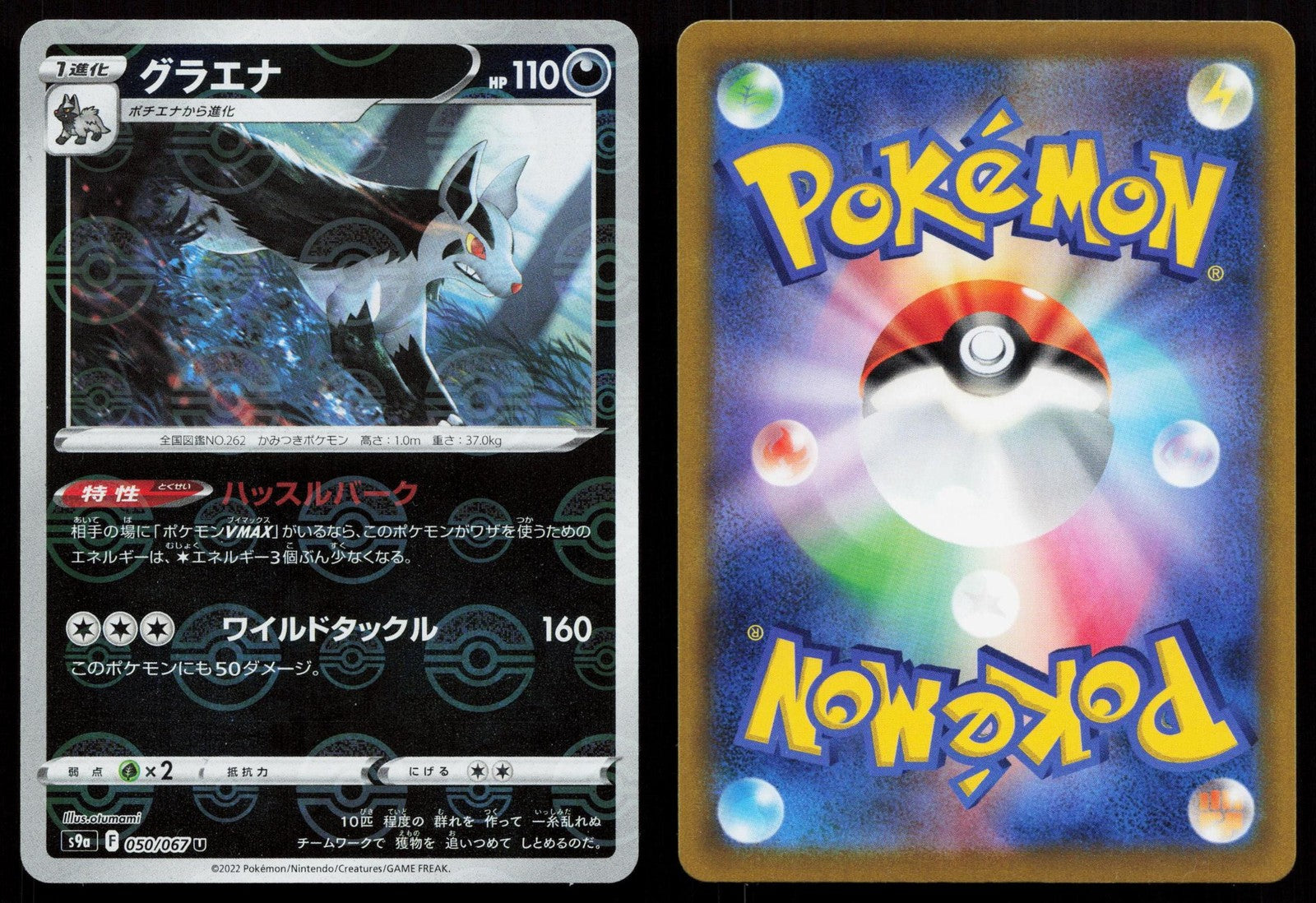 Mightyena 050/067 Battle Region Japanese Mastercoins