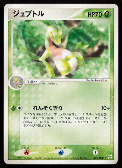 Grovyle 005/080 Magma vs Aqua Japanese Mastercoins