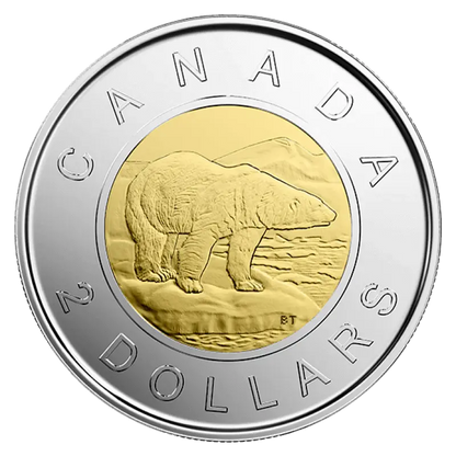 2019 Canadian Circulation Coin Set - Glow In The Dark Everlasting Canadian Icons - Mastercoins