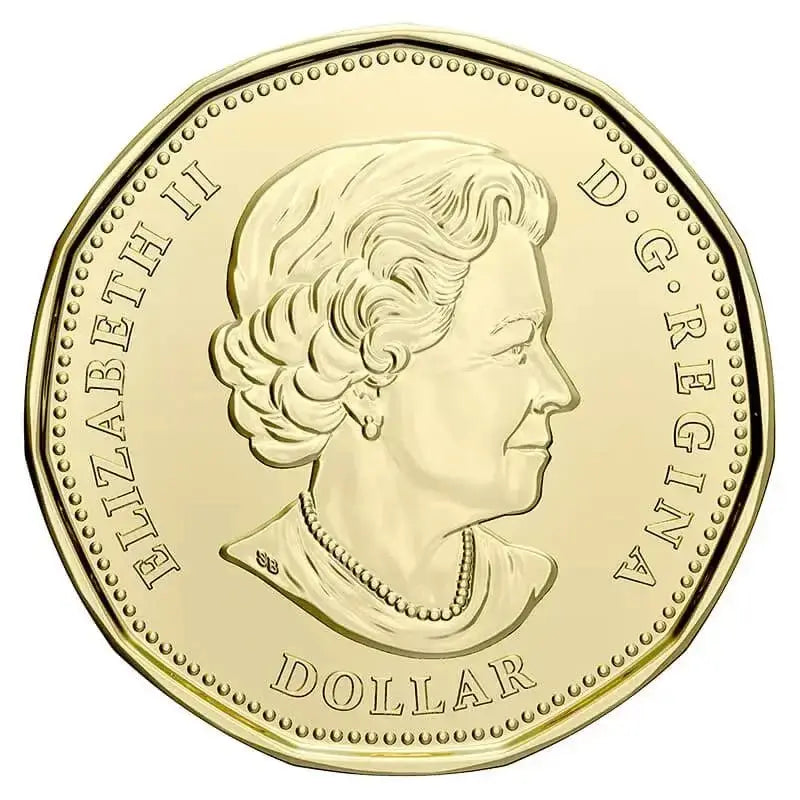 2021 Canadian $1 Klondike Gold Rush 125th Anniv Coloured Loonie Special Wrap Coin Roll - Mastercoins