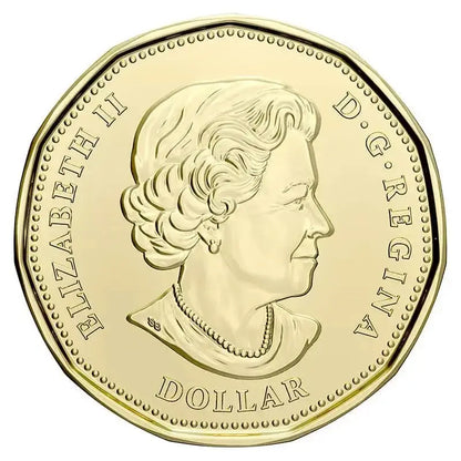 2021 Canadian $1 Klondike Gold Rush 125th Anniv Coloured Loonie Special Wrap Coin Roll - Mastercoins
