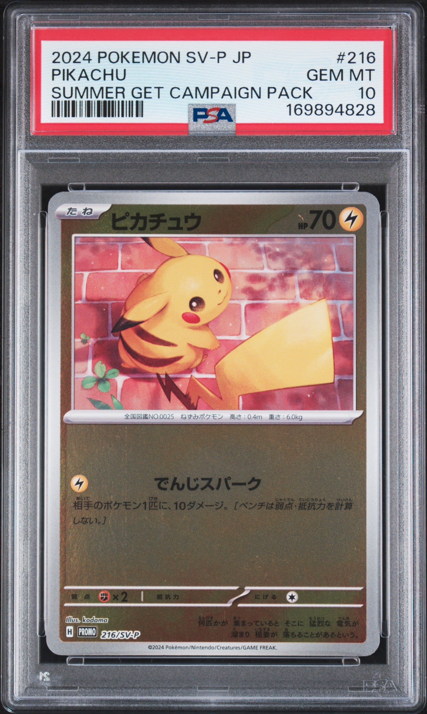 🎰👀 PIKACHU 216/SV-P SV-P PROMO PSA 10 JAPANESE