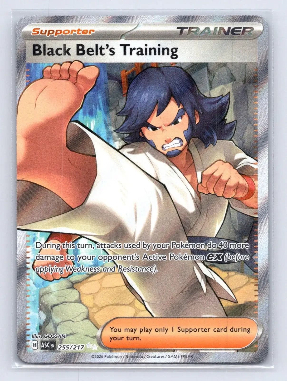 Black Belt's Training 255/217 ME: Ascended Heroes Pokemon NM - Mastercoins