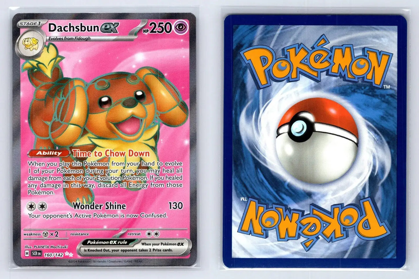 Dachsbun ex 160/142 Stellar Crown Pokemon NM - Mastercoins