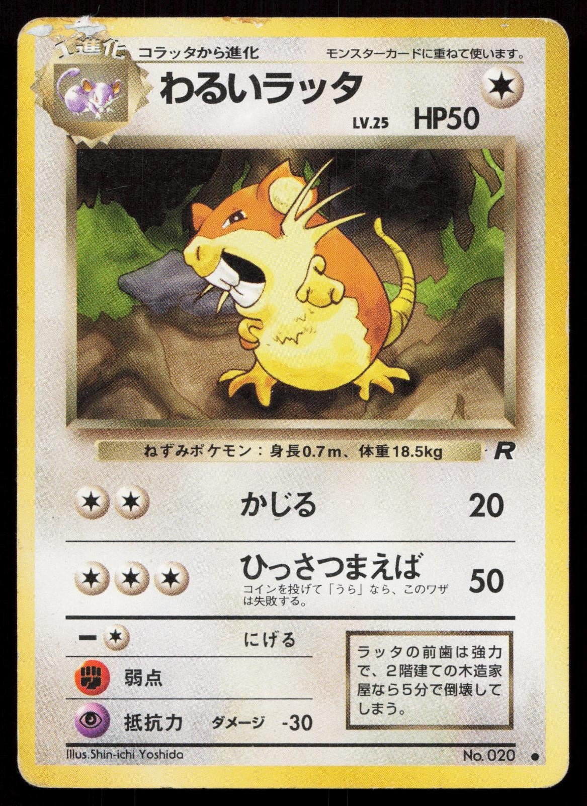 Dark Raticate No. 020 Team Rocket Japanese HP - Mastercoins