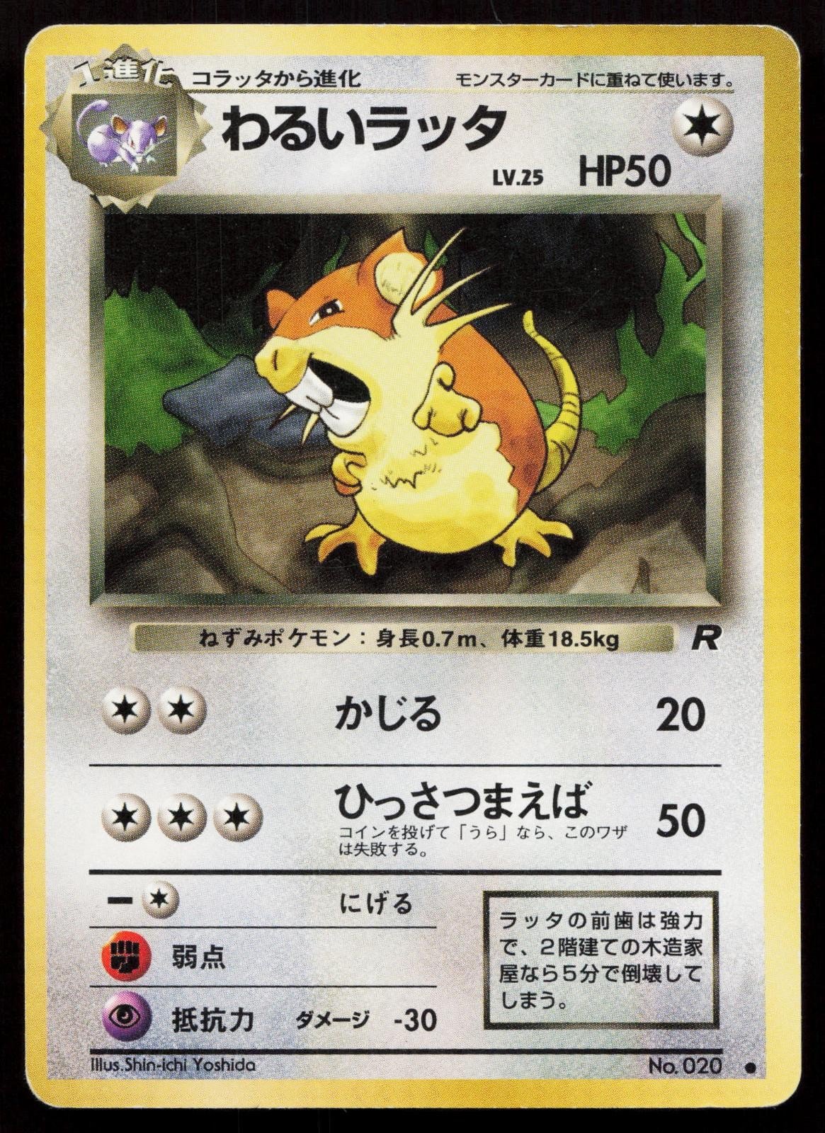 Dark Raticate No. 020 Team Rocket Japanese MP - Mastercoins