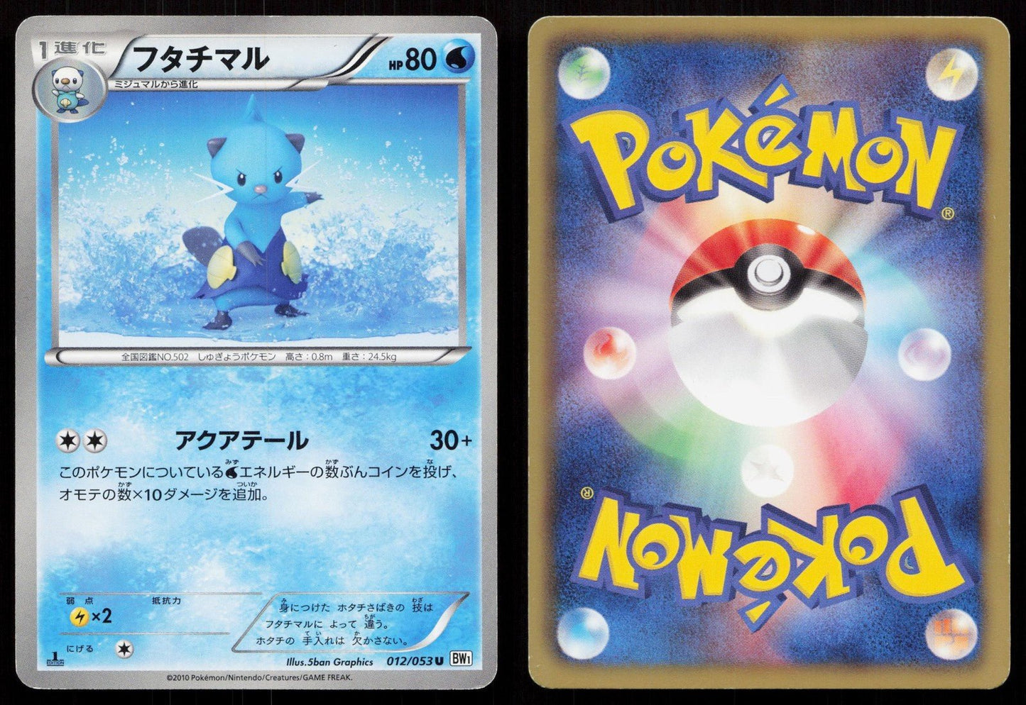 DEWOTT 012/053 WHITE COLLECTION POKEMON JAPANESE LP - Mastercoins