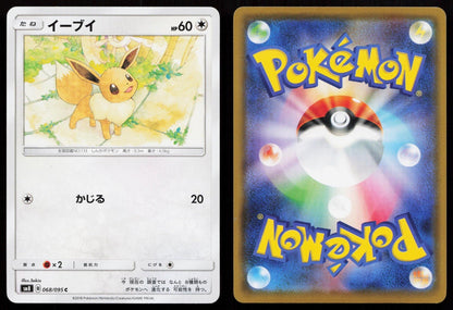 Eevee 068/095 Super Burst Impact Japanese - Mastercoins
