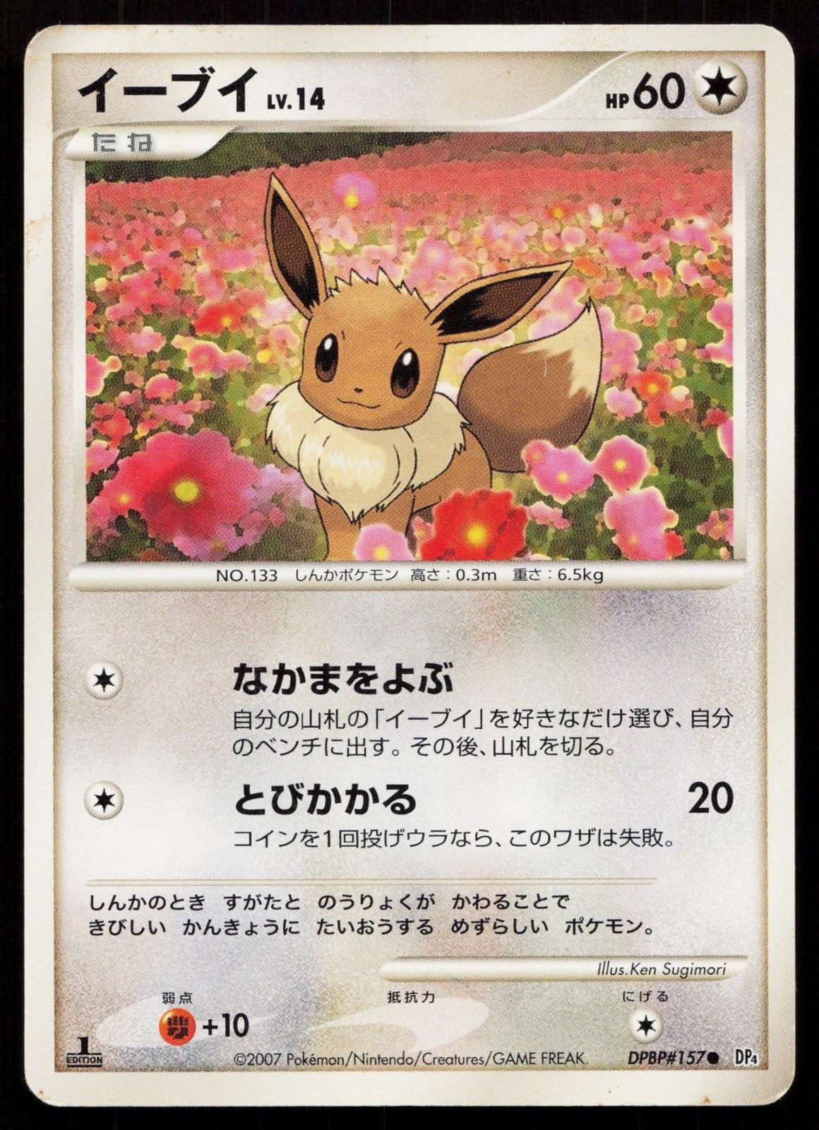 EEVEE DPBP157 DAWN DASH POKEMON JAPANESE LP - Mastercoins