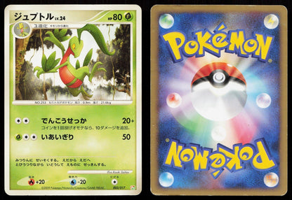 Grovyle 003/017 Arceus Deck Grass Fire Japanese - Mastercoins