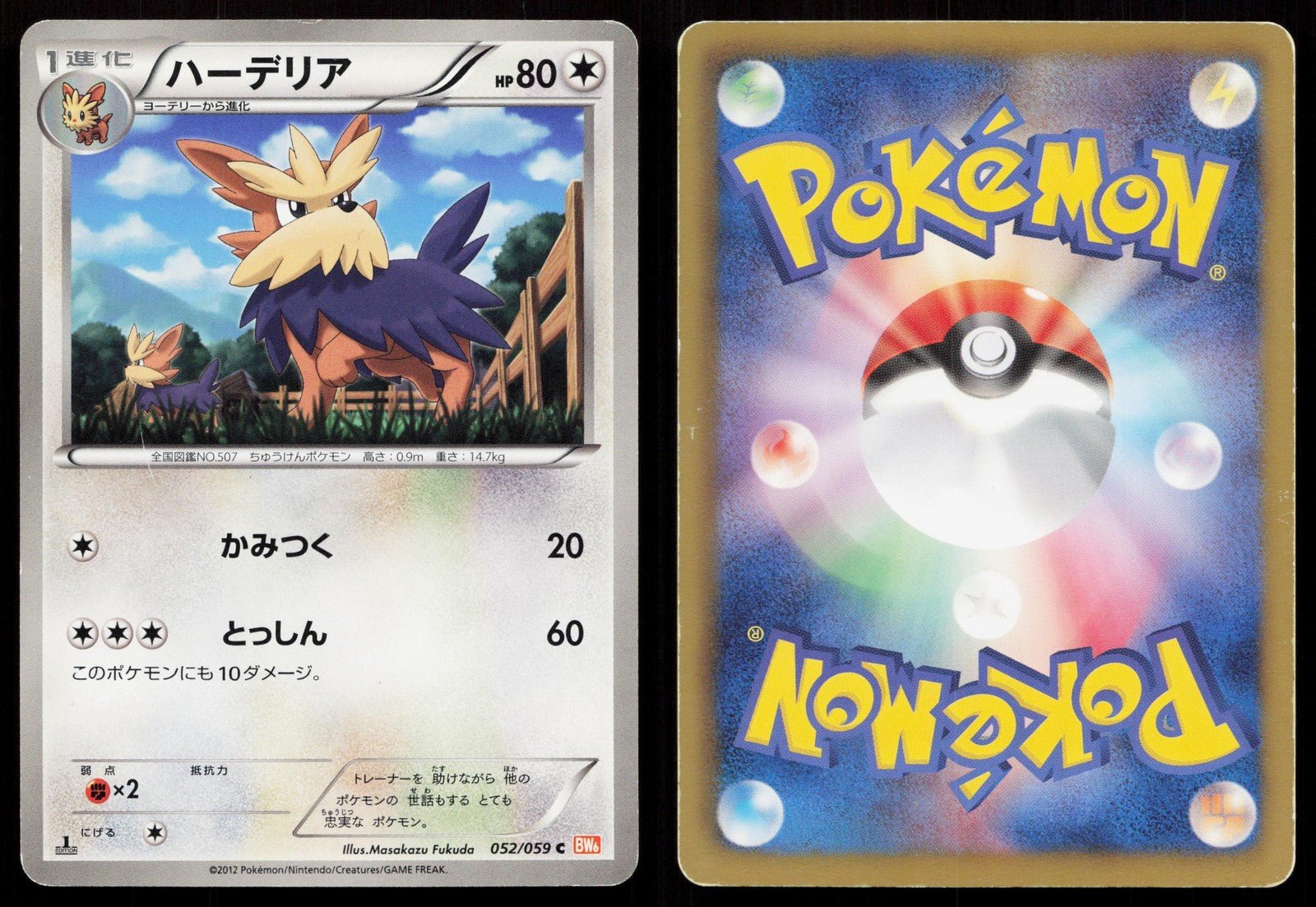 HERDIER 052/059 COLD FLARE POKEMON JAPANESE HP - Mastercoins