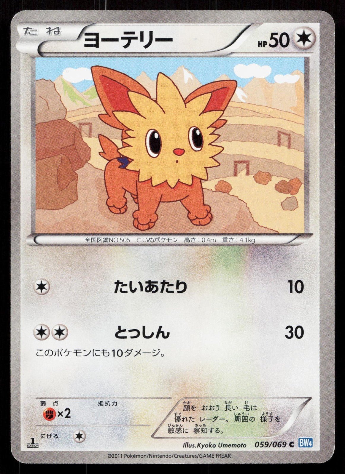 LILLIPUP 059/069 DARK RUSH POKEMON JAPANESE LP - Mastercoins