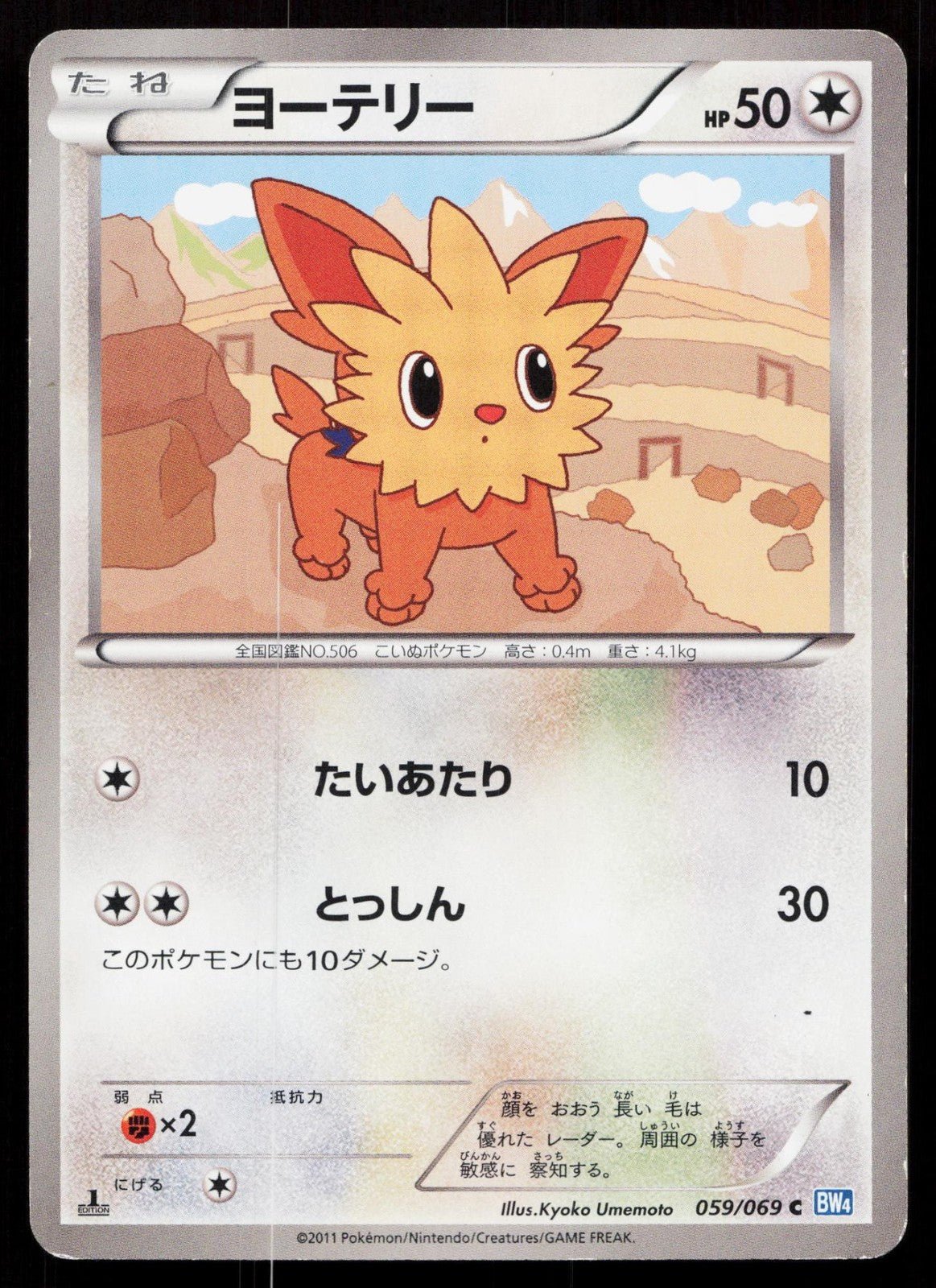 LILLIPUP 059/069 DARK RUSH POKEMON JAPANESE LP - Mastercoins