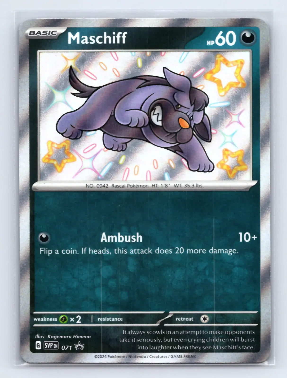 Maschiff 071 Promo Scarlet & Violet Pokemon Near Mint - Mastercoins