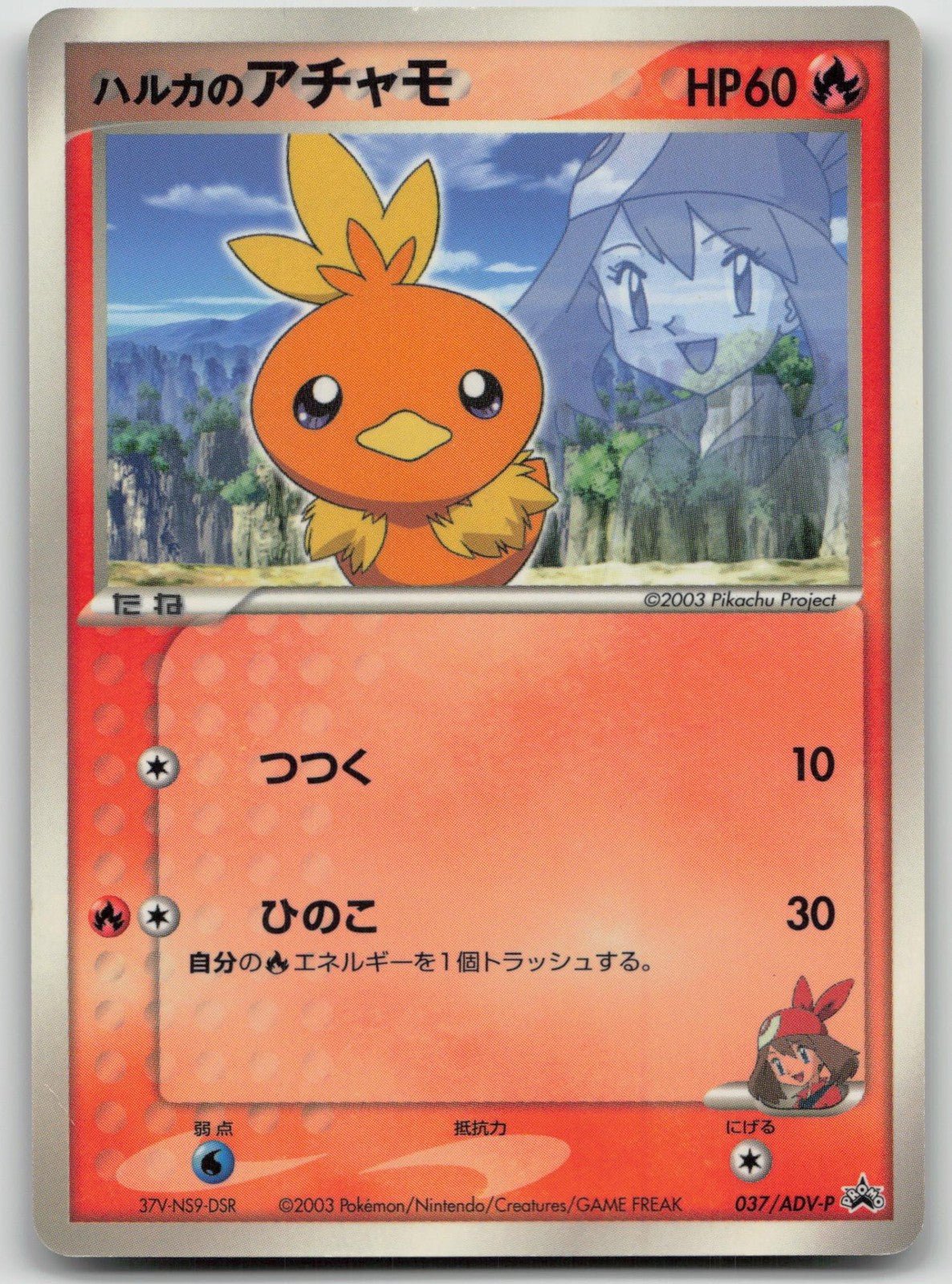 May's Torchic 037/ADV - P Shogakukan Pokemon Japanese HP - Mastercoins