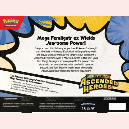 Mega Evolution—Ascended Heroes Mega Meganium, Mega Emboar, Mega Feraligatr ex Box - Mastercoins