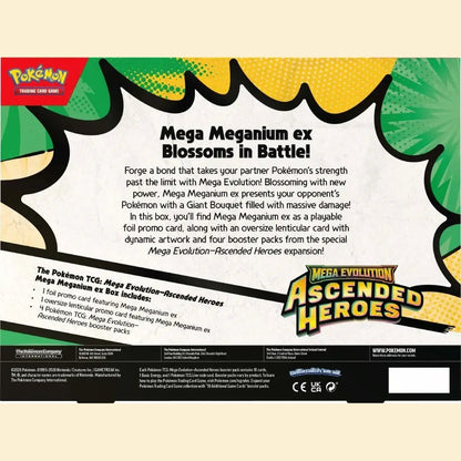 Mega Evolution—Ascended Heroes Mega Meganium, Mega Emboar, Mega Feraligatr ex Box - Mastercoins