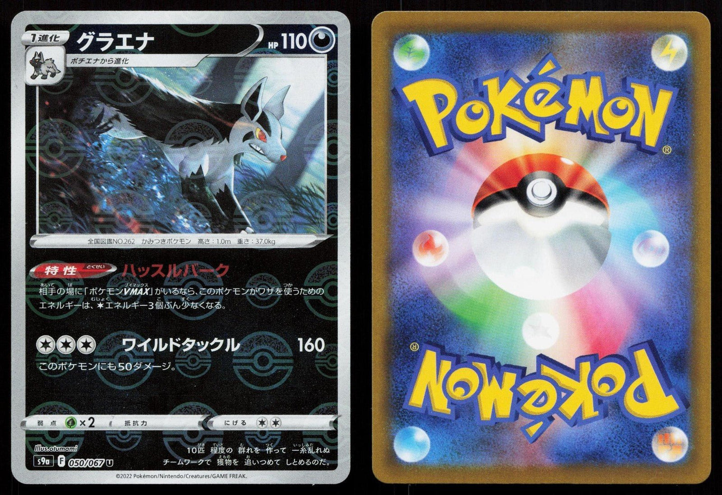Mightyena 050/067 Battle Region Japanese - Mastercoins