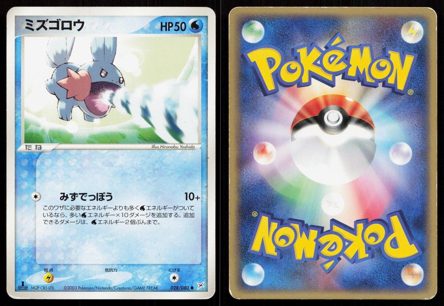 Mudkip 028/080 Magma vs Aqua Japanese - Mastercoins