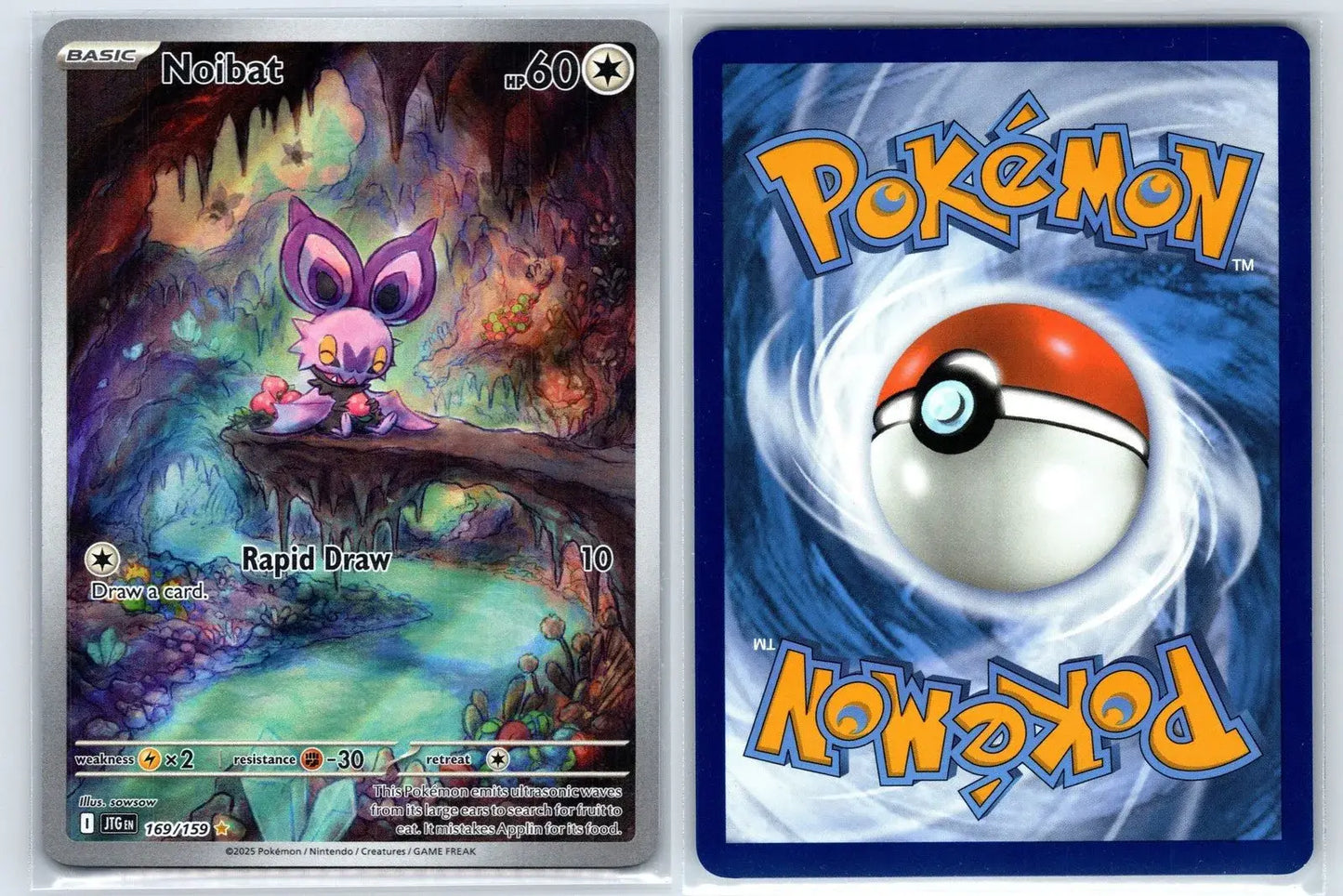 Noibat 169/159 Journey Together Pokemon NM - Mastercoins