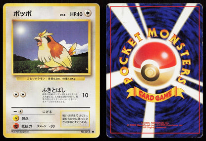 Pidgey No. 016 Base Set Japanese MP - Mastercoins