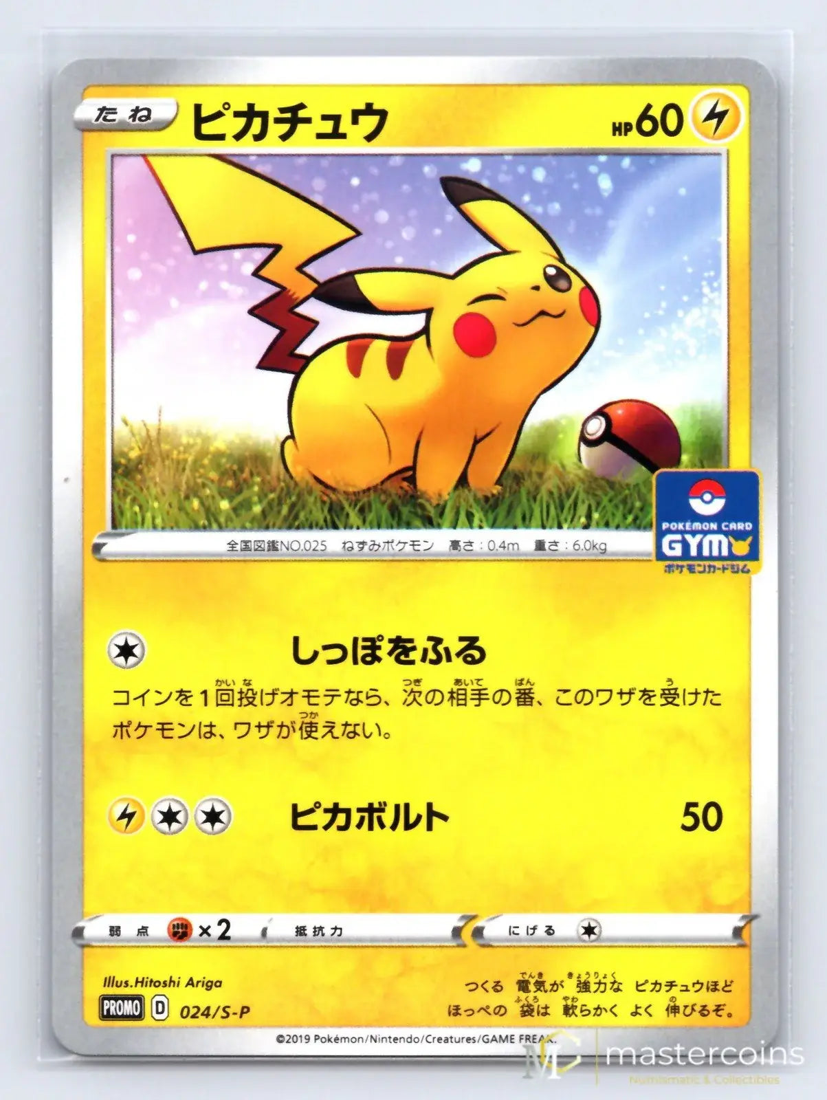 Pikachu 024/S - P Sword & Shield Promos Pokemon Japanese NM - Mastercoins