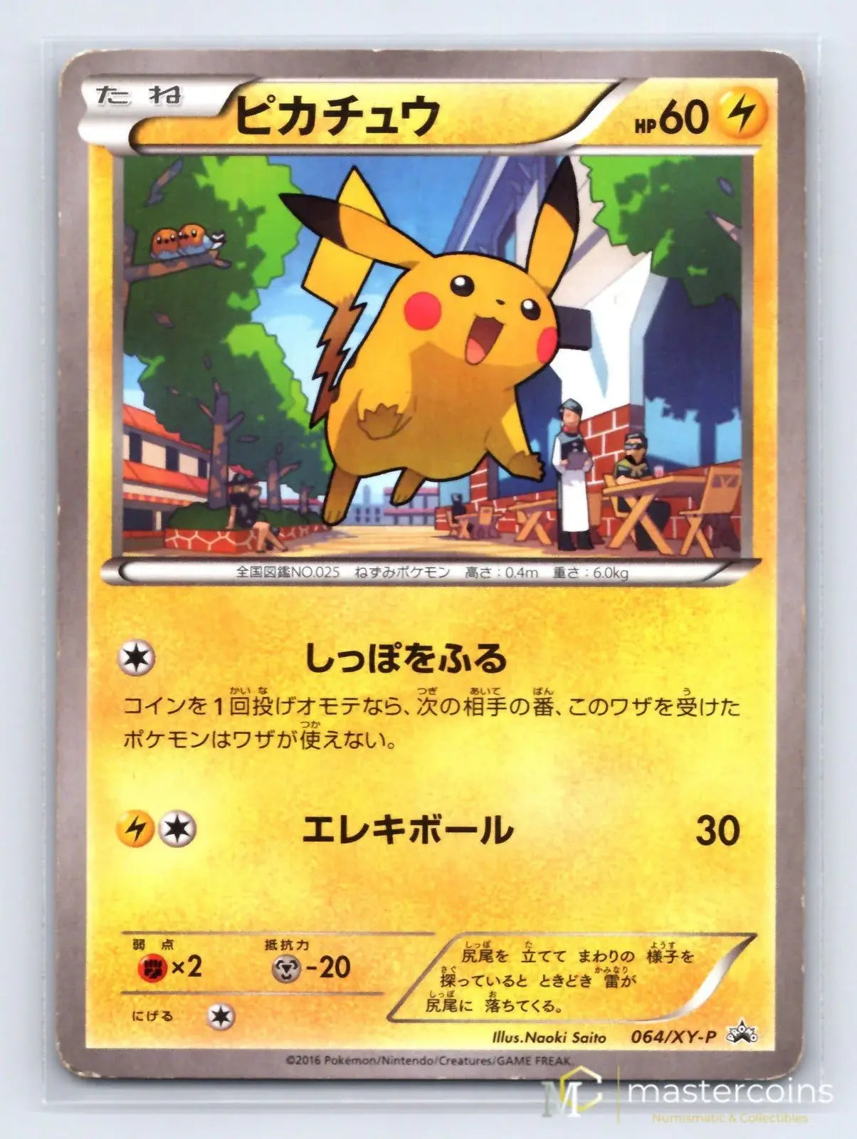 Pikachu 064/XY - P XY Promos Pokemon Japanese HP - Mastercoins