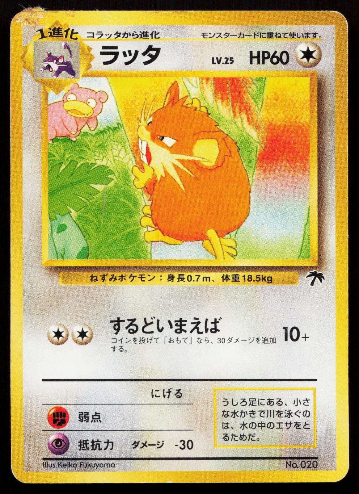 Raticate No. 020 Southern Islands Japanese HP - Mastercoins
