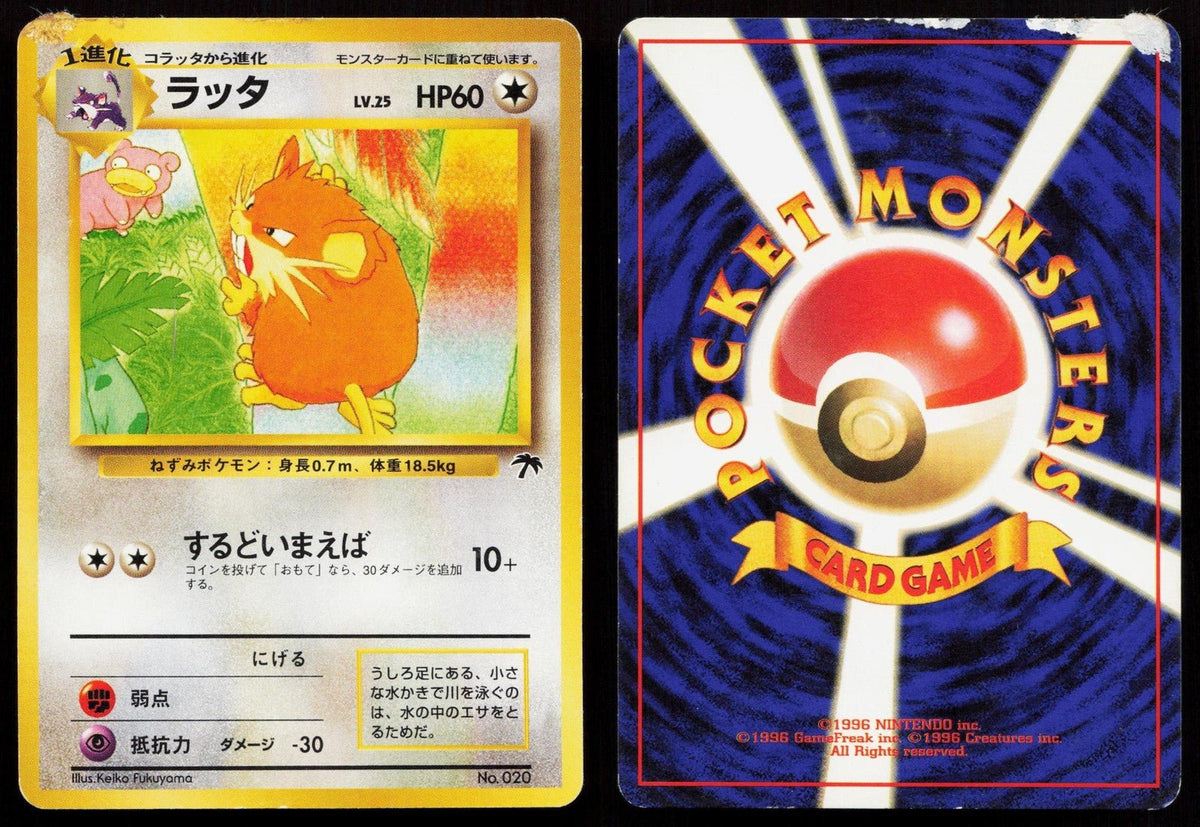 Raticate No. 020 Southern Islands Japanese HP - Mastercoins