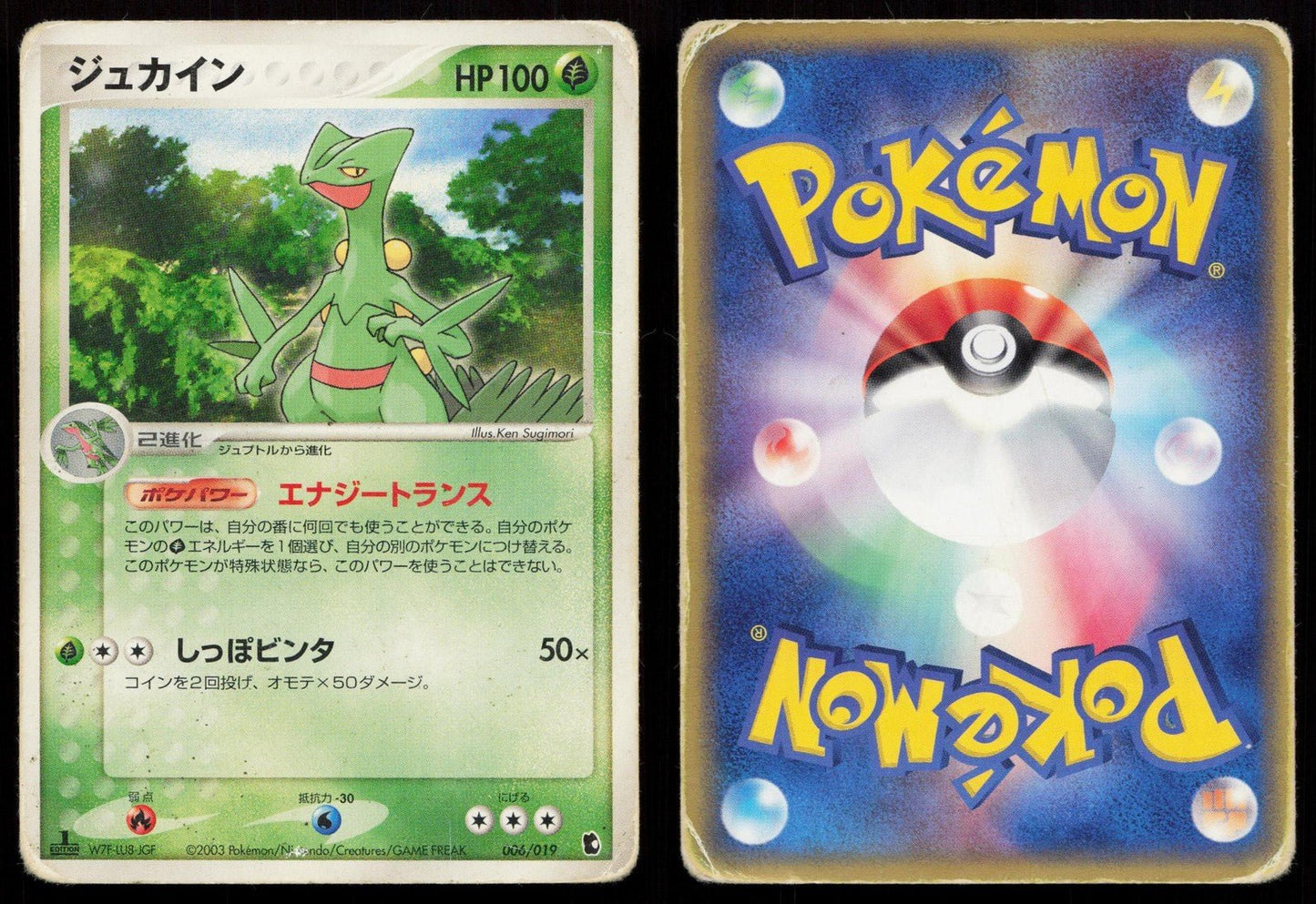 Sceptile 006/019 Treecko Deck Japanese DMG - Mastercoins