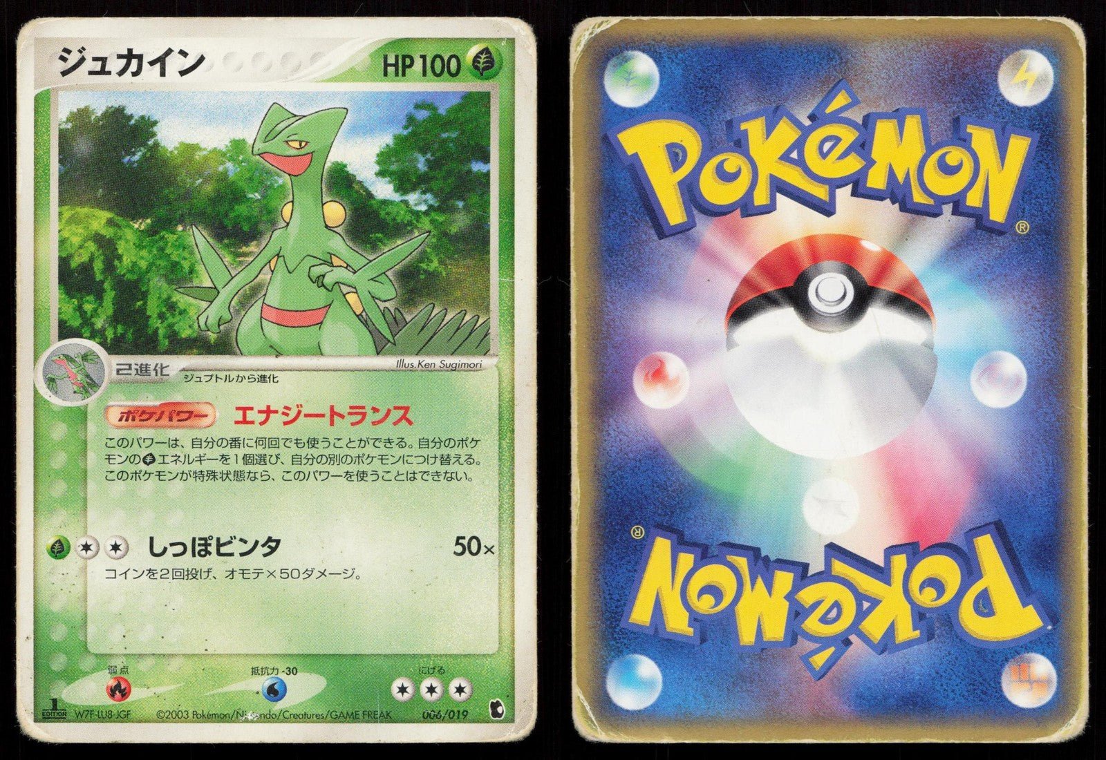 Sceptile 006/019 Treecko Deck Japanese DMG - Mastercoins