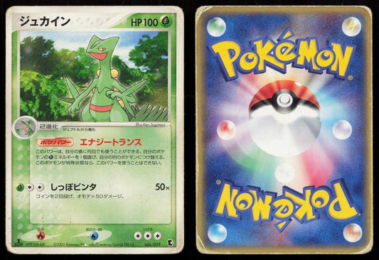 Sceptile 006/019 Treecko Deck Japanese DMG - Mastercoins