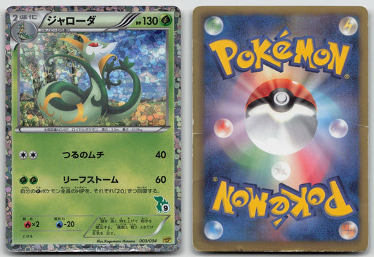 SERPERIOR 003/034 BEGINNER SET POKEMON JAPANESE DMG - Mastercoins