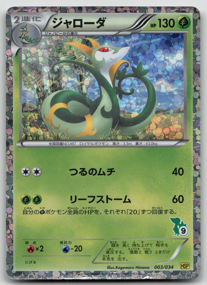 SERPERIOR 003/034 BEGINNER SET POKEMON JAPANESE DMG - Mastercoins