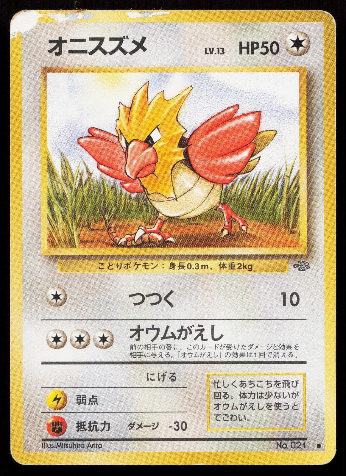 Spearow No. 021 Jungle Japanese HP - Mastercoins