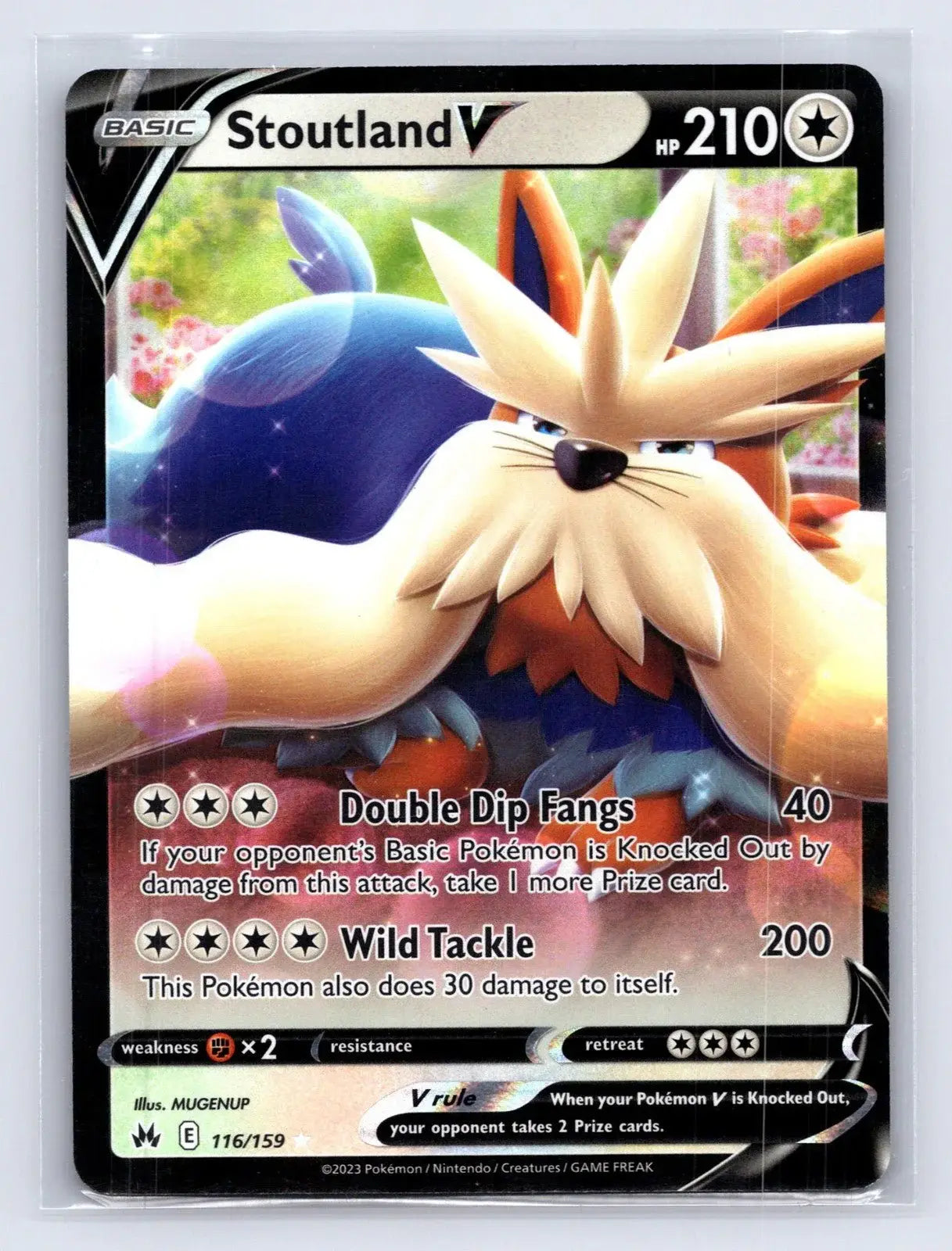Stoutland V 116/159 Crown Zenith Pokemon NM - Mastercoins