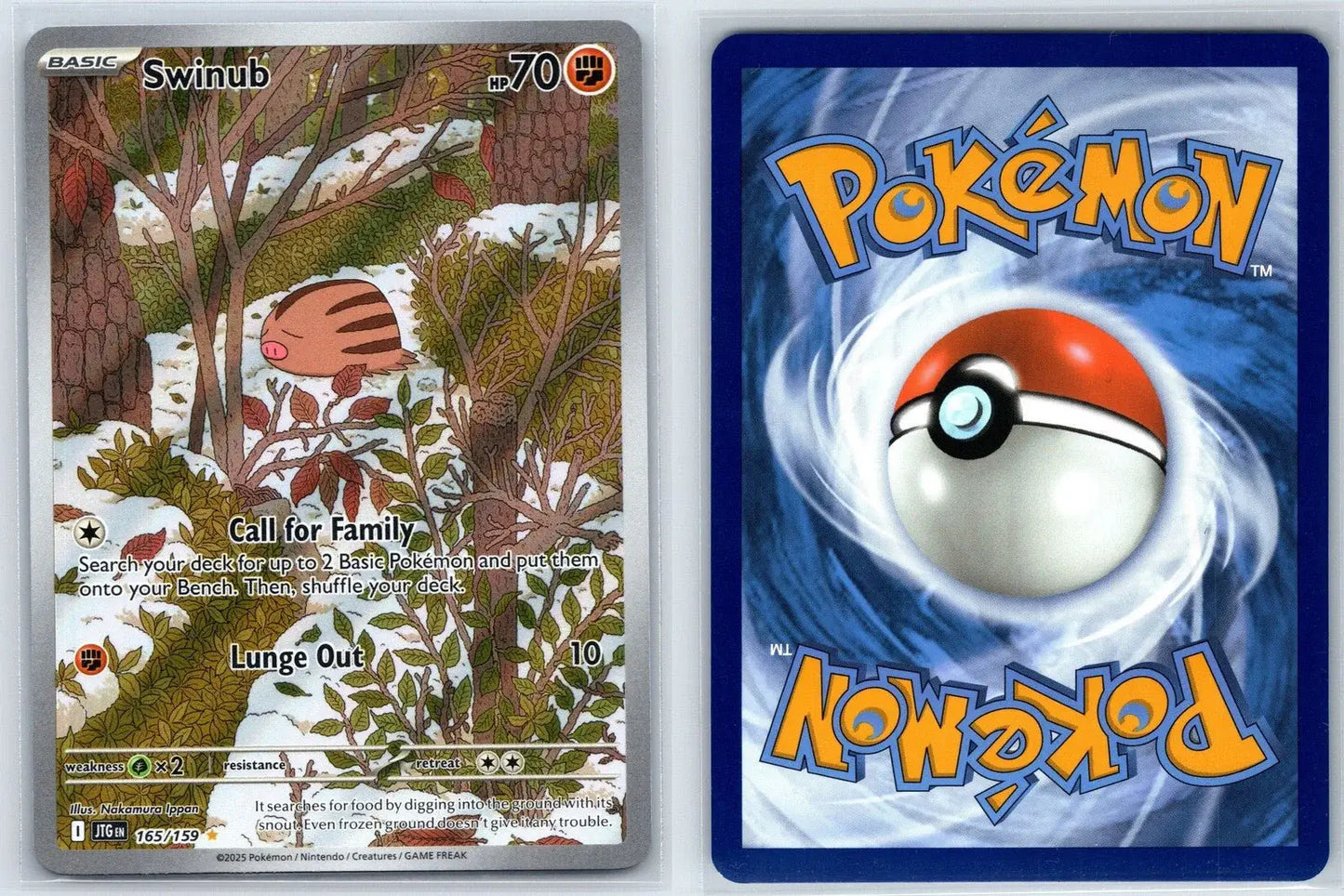 Swinub 165/159 Journey Together Pokemon NM - Mastercoins