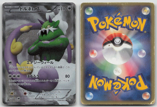 TORNADUS 054/053 BLACK COLLECTION POKEMON JAPANESE DMG - Mastercoins