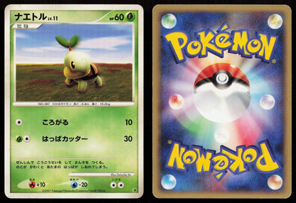 Turtwig Entry Pack '08 Japanese - Mastercoins