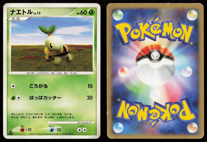Turtwig Entry Pack '08 Japanese - Mastercoins